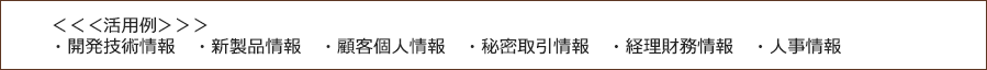 ＜＜＜活用例＞＞＞・開発技術情報　・新製品情報　・顧客個人情報　・秘密取引情報　・経理財務情報　・人事情報 